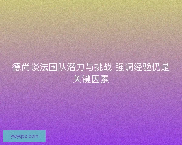德尚谈法国队潜力与挑战 强调经验仍是关键因素
