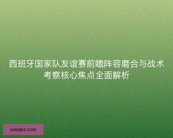 西班牙国家队友谊赛前瞻阵容磨合与战术考察核心焦点全面解析