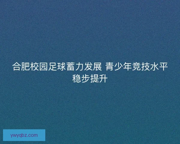合肥校园足球蓄力发展 青少年竞技水平稳步提升